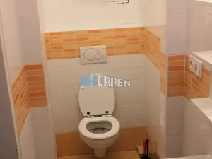 Pronájem bytu 2+1, Praha - Libeň, Sokolovská, 58 m2