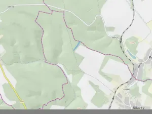 Prodej lesa, Silůvky, 3896 m2