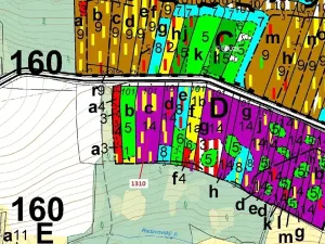Dražba lesa, Skalice, 7441 m2