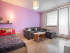 Prodej bytu 1+1, Olomouc - Nová Ulice, Hraniční, 34 m2