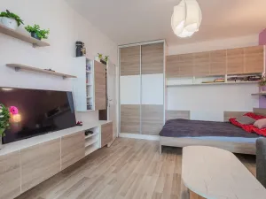 Prodej bytu 1+1, Olomouc - Nová Ulice, Hraniční, 34 m2