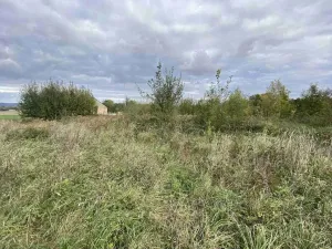 Prodej pozemku, Javorník - Horní Hoštice, 1651 m2