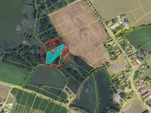 Prodej podílu lesa, Vračovice-Orlov, 2036 m2