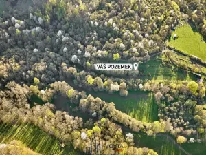 Prodej pozemku pro bydlení, Okounov, 13326 m2