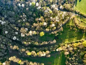 Prodej pozemku pro bydlení, Okounov, 13326 m2