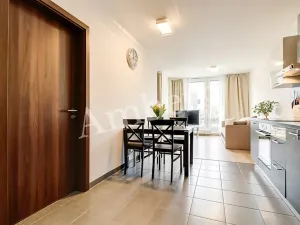 Prodej bytu 2+kk, Praha - Žižkov, Na Vackově, 53 m2