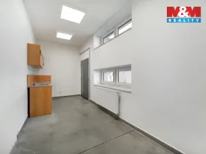 Pronájem výrobních prostor, Albrechtice, 328 m2