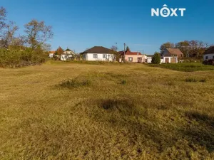 Prodej pozemku pro bydlení, Dyjákovice, 4308 m2