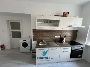 Prodej bytu 1+1, Teplice, 14. října, 42 m2