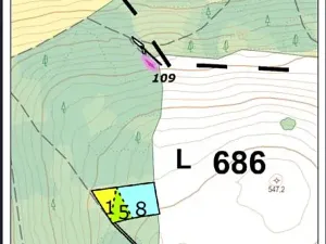 Prodej lesa, Červená Řečice, 48 m2