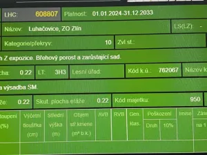 Prodej lesa, Šarovy, 11619 m2