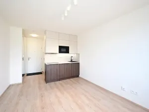 Pronájem bytu 1+kk, Praha - Vršovice, Kubánské náměstí, 19 m2