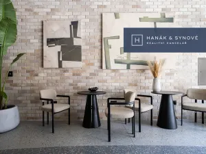 Pronájem bytu 1+kk, Brno, Bratislavská, 23 m2