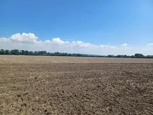 Prodej pozemku pro bydlení, Horka nad Moravou, 43000 m2