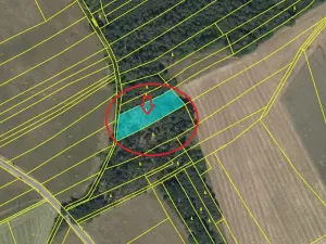 Prodej lesa, Krakovany, 3138 m2