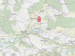 Prodej lesa, Krakovany, 3138 m2