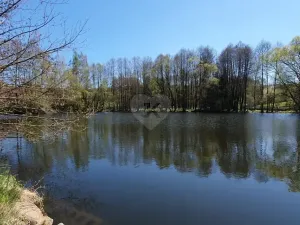 Prodej rodinného domu, Mileč, 260 m2