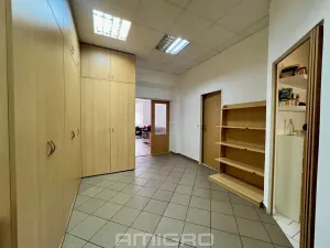 Pronájem kanceláře, Brno, Pekařská, 75 m2