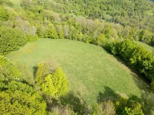 Prodej louky, Děčín, 27274 m2