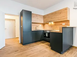 Pronájem bytu 2+kk, Brno, Stavební, 56 m2