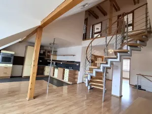 Pronájem bytu 4+kk, Plzeň, Přemyslova, 180 m2