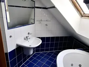 Pronájem bytu 4+kk, Plzeň, Přemyslova, 180 m2