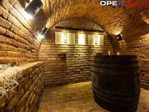 Prodej vícegeneračního domu, Dolní Bojanovice, Vinařská, 367 m2