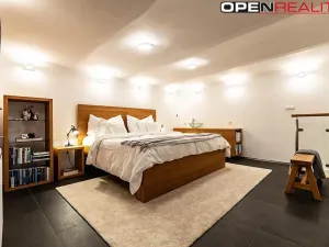 Prodej vícegeneračního domu, Dolní Bojanovice, Vinařská, 367 m2