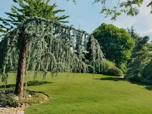 Prodej rodinného domu, Hradec Králové, Petra Jilemnického, 950 m2