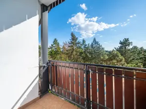 Prodej bytu 3+1, Brno, Haškova, 67 m2