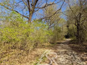 Prodej pozemku, Sušice - Humpolec, 165 m2