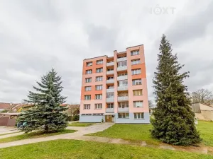 Prodej bytu 3+1, Nová Včelnice, Na Hliněnce, 74 m2