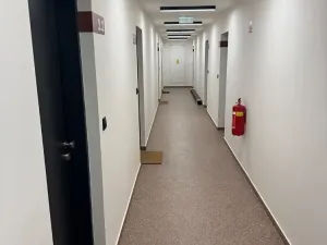 Pronájem bytu 1+kk, Brno, Koliště, 25 m2