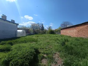 Prodej rodinného domu, Křelov-Břuchotín, 240 m2