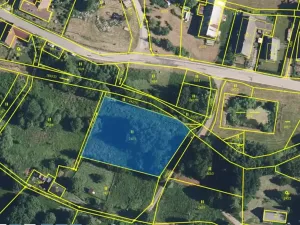 Prodej pozemku pro bydlení, Borovnice, 2221 m2