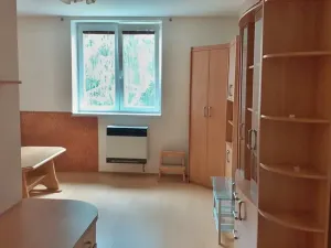 Prodej bytu 1+kk, Uherské Hradiště, Rostislavova, 40 m2