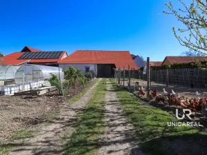 Prodej rodinného domu, Čikov, 418 m2