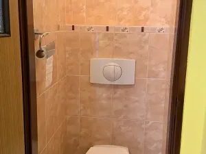 Prodej rodinného domu, Hrušovany nad Jevišovkou, 300 m2