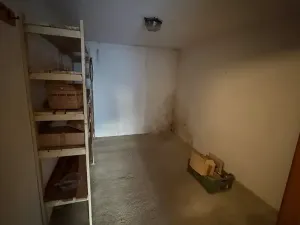 Prodej rodinného domu, Hrušovany nad Jevišovkou, 300 m2