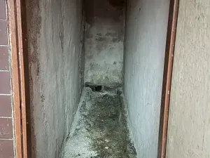 Prodej rodinného domu, Hrušovany nad Jevišovkou, 300 m2