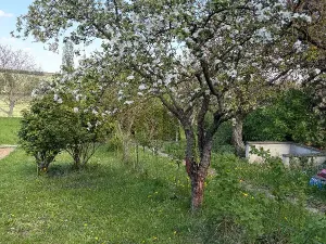 Prodej zahrady, Šlapanice, Nádražní, 936 m2