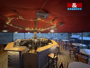 Prodej ubytování, Čenkovice, 297 m2