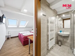 Prodej ubytování, Čenkovice, 297 m2