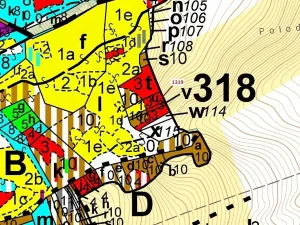 Dražba lesa, Spešov, 316 m2