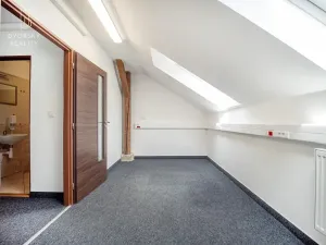 Prodej kanceláře, Mladá Boleslav, Ptácká, 305 m2