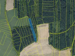 Prodej lesa, Blížejov - Lštění, 4624 m2