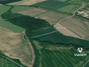 Prodej pole, Loukov, 2986 m2