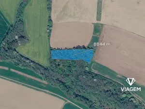 Prodej lesa, Bravantice, 8844 m2