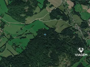 Prodej lesa, Česká Kamenice, 1794 m2