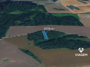 Prodej lesa, Hradiště, 2578 m2